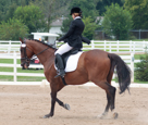 Dressage at Delaware